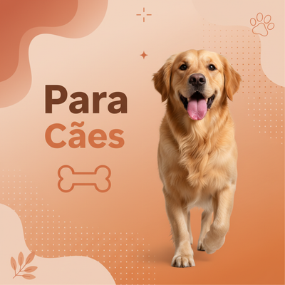Para Cães