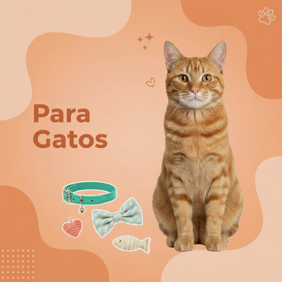 Para Gatos