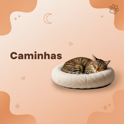 Caminhas
