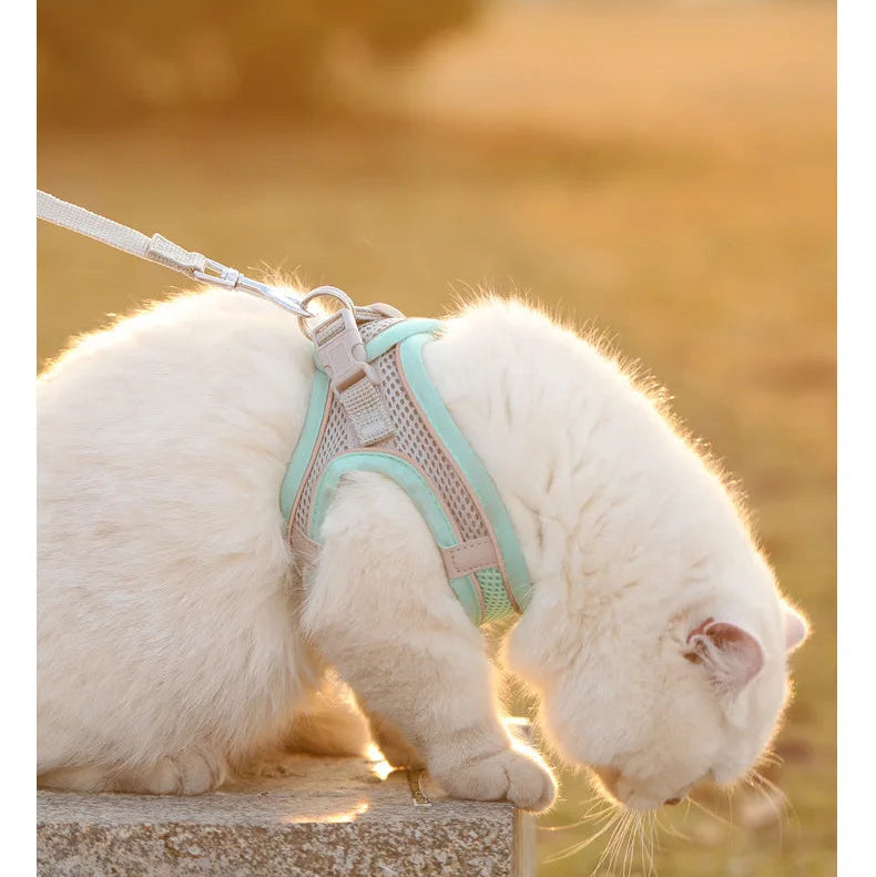 Peitoral Refletivo e Respirável para Cães — Ajustável com Argola D de Aço