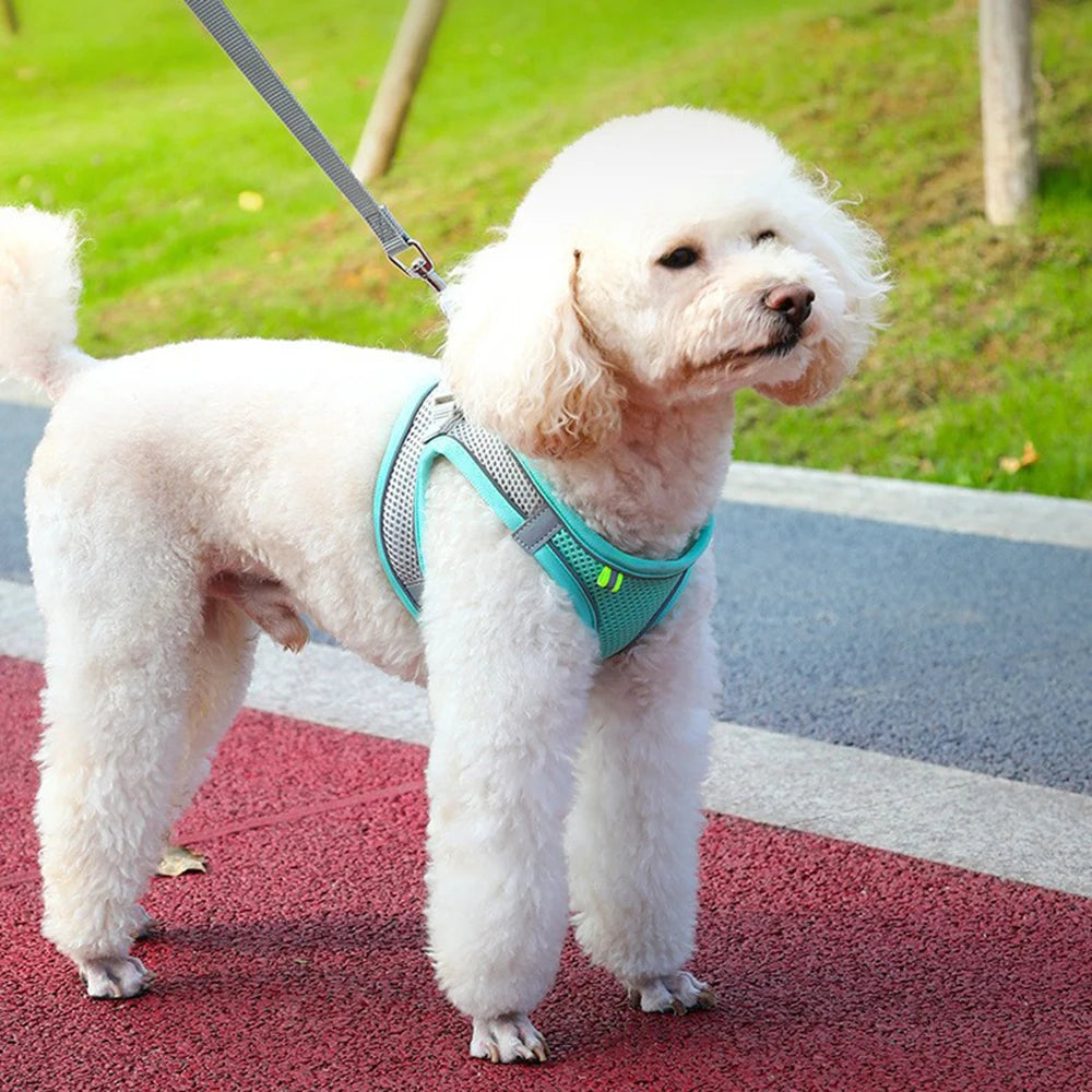 Peitoral Refletivo e Respirável para Cães — Ajustável com Argola D de Aço
