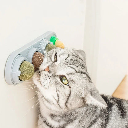 Suporte de Catnip 4 em 1 para Gatos — Bolas Giratórias Fixadas na Parede