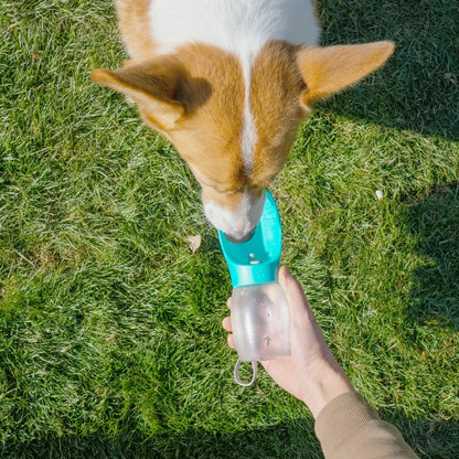 Garrafa de Água Portátil para Pets | Anti-Vazamento para Passeios e Viagens