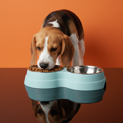 Comedouro Duplo para Pets — Tigelas de Aço Inox com Base Antiderrapante