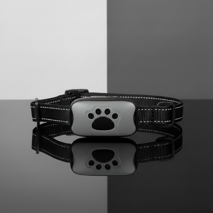 Coleira Antilatido Ultrassônica Recarregável USB para Cães
