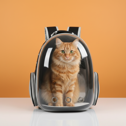 Mochila Preta – Gato Laranja – Fundo Laranja